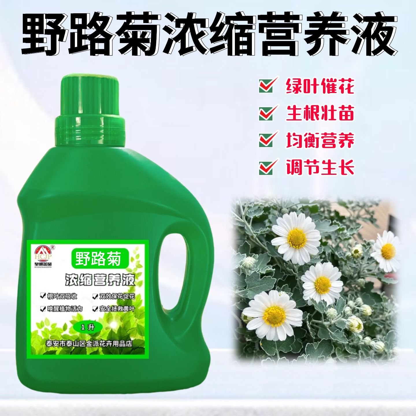 野路菊浓缩营养液氮磷钾花肥料