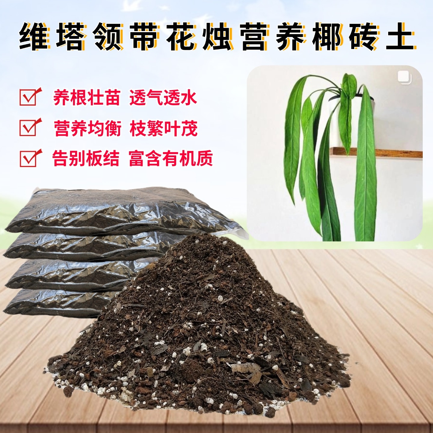 维塔领带花烛椰砖土种植土