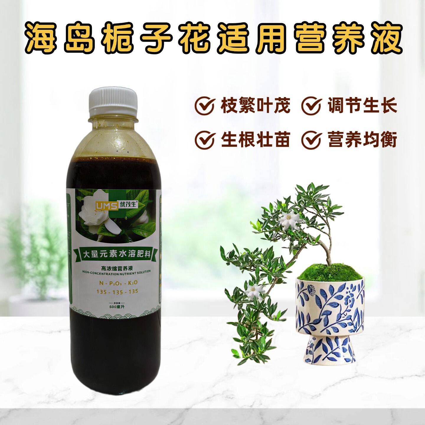 海岛栀子花浓缩营养液花卉肥料图片