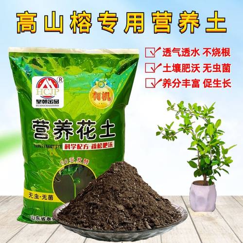 高山榕营养花土种植土透气