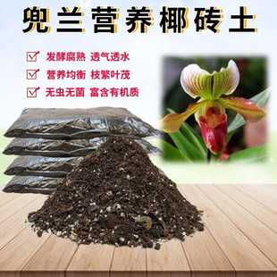 兜兰洋兰椰砖土金童玉女杏黄魔帝红旗白旗硬叶盆栽绿植专用种植土