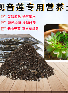 观音莲椰砖土通用育苗种植土