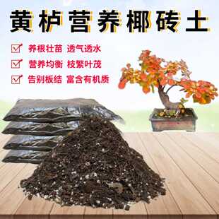 香山红叶黄栌营养椰砖土室内老桩盆景栽绿植物专用育苗种植土透气