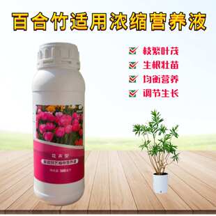 金心细叶金边百合竹浓缩营养液室内盆景栽绿植物专用水溶花卉肥料