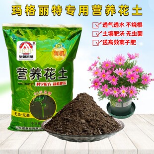 玛格丽特菊花专用营养土室内家用盆栽种植物木茼蒿翻换种植土透气