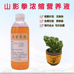 仙人山虎头罗汉山影拳室内营养液盆栽多肉植物专用浓缩水溶花肥料