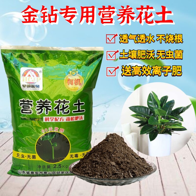 金钻绿钻专用营养花土家室内客厅阳台盆栽绿植物蔓绿绒翻换土透气