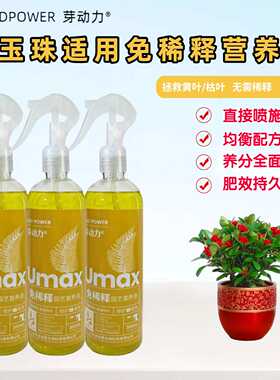 红玉珠免稀释营养液喷施叶面肥料