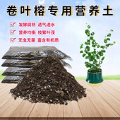 卷福卷叶榕专用营养椰砖土办公室内阳台盆栽绿植物有机种植土透气