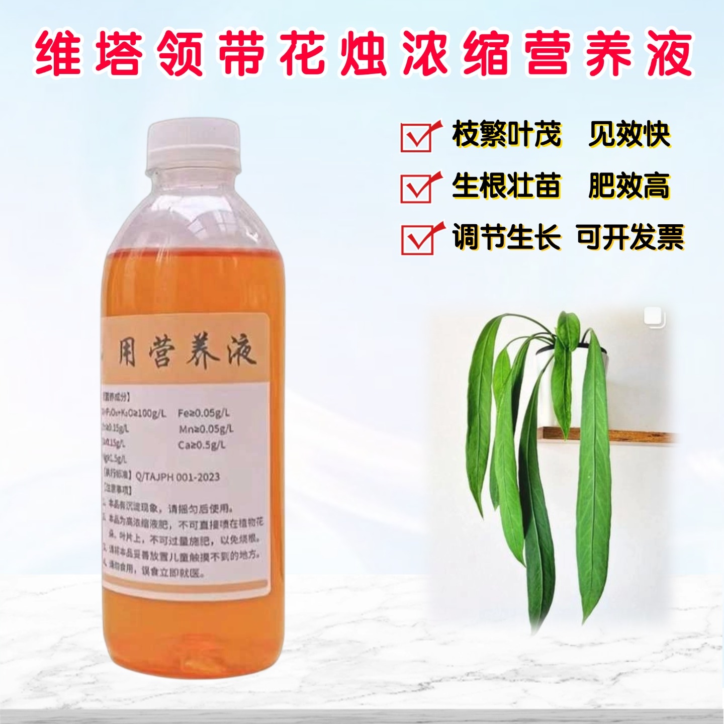 维塔领带花烛海芋蔓绿绒贝克利火鹤后营养液盆栽绿植专用水溶肥料