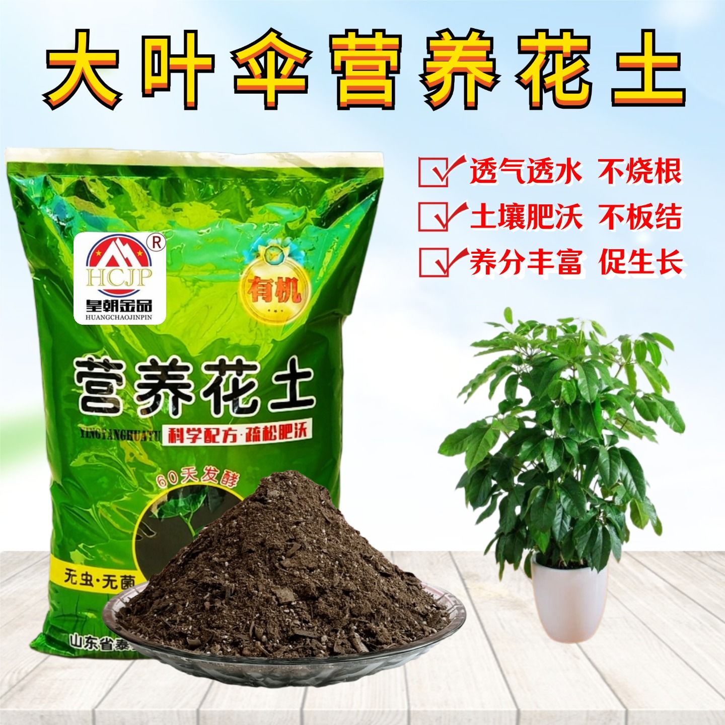 大叶伞营养花土有机种植土透气图片