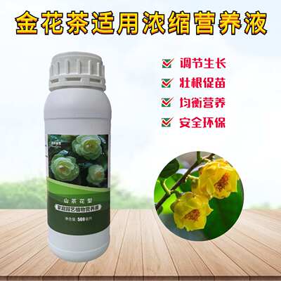金花茶浓缩营养液养花卉肥料