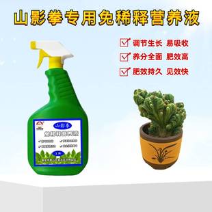 仙人山虎头罗汉山影拳专用免稀释营养液盆栽植物花卉喷施叶面肥料