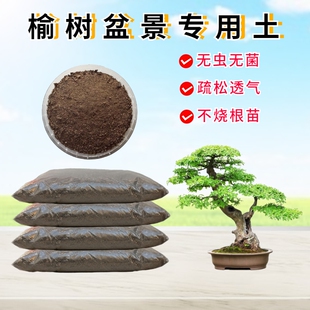 小叶榔榆树盆景专用土营养疏松肥沃沙质微酸性客厅盆栽老桩种植土