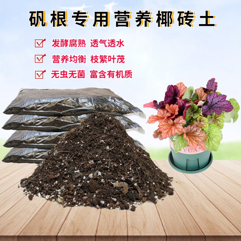 矾根专用椰砖土翻换种植土透气图片