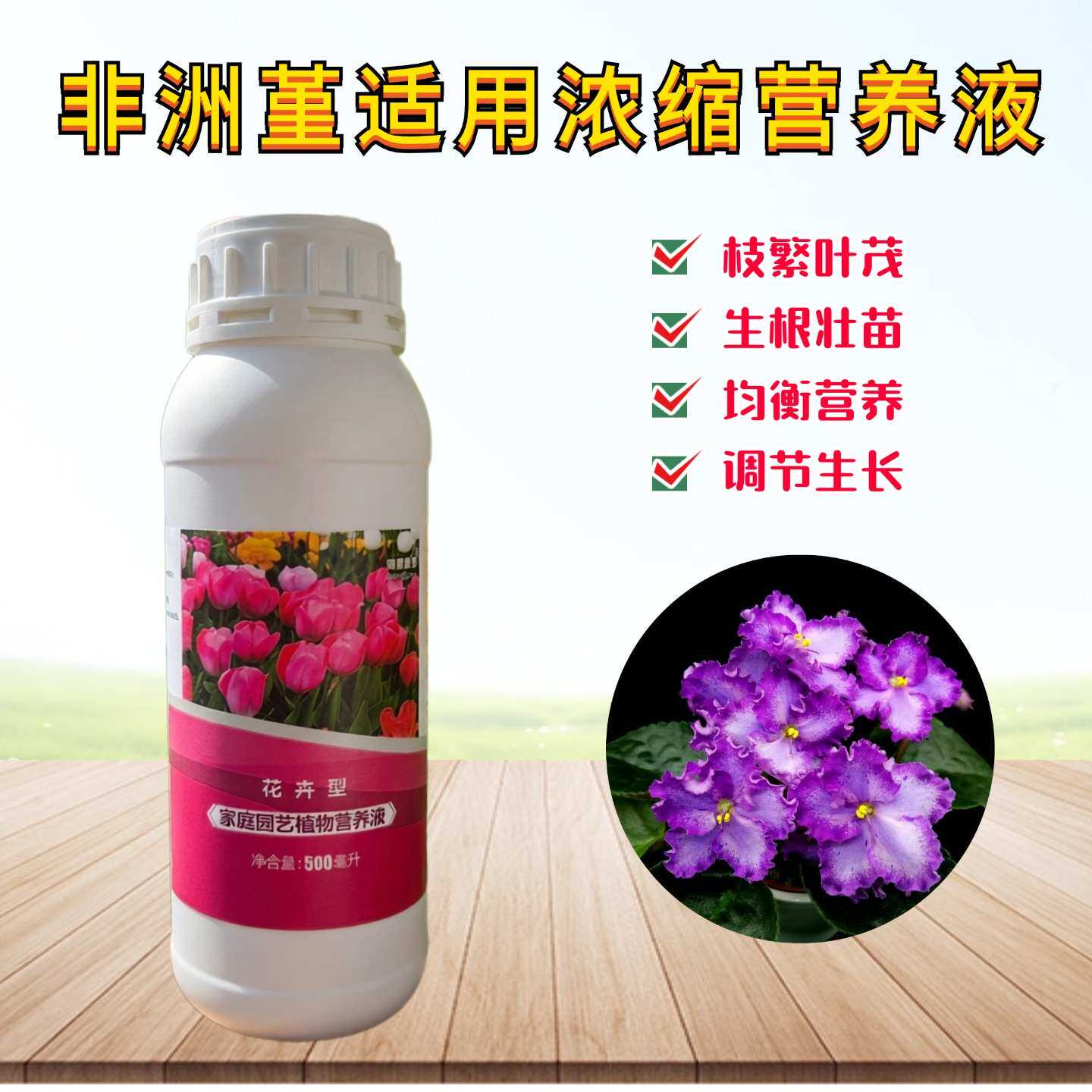 非洲堇紫罗兰浓缩营养液室内盆栽绿植物专用氮磷钾水溶养花卉肥料