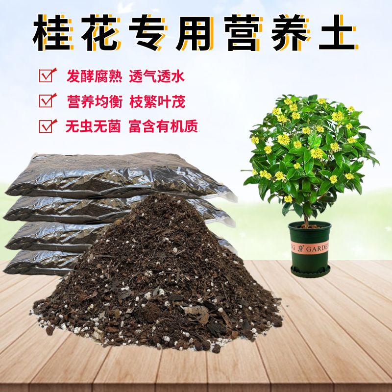 桂花椰砖土翻换种植土透气图片
