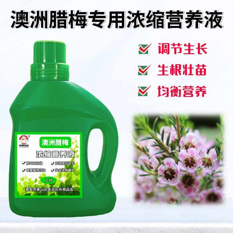 澳洲腊梅专用浓缩营养液室内客厅盆栽绿植物氮磷钾水溶养花卉肥料,鲜花速递/花卉仿真/绿植园艺,家庭园艺肥料,淘宝优惠券,粉丝福利购,淘宝优惠卷