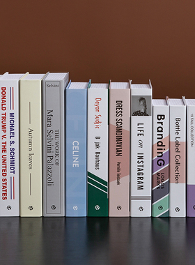 现代北欧小清新风假书摆件简约仿真书摆设创意道具书模型书壳盒子