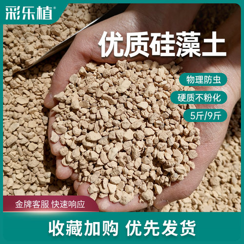 硅藻土颗粒铺面多肉彩乐植矽藻素防虫驱虫硬质颗粒石兰花介质