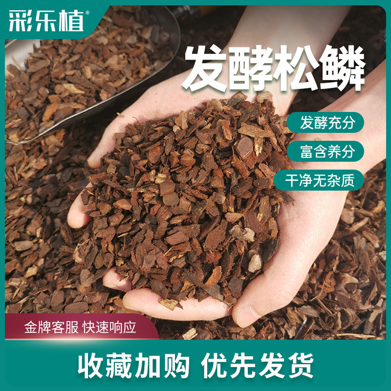 彩乐植发酵松鳞腐熟松树皮天然植料兰花专用土石斛蝴蝶兰栽培营养