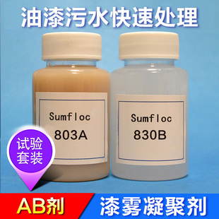漆雾凝聚剂样品150克 喷漆污水处理试验装油漆污水快速变清体验装