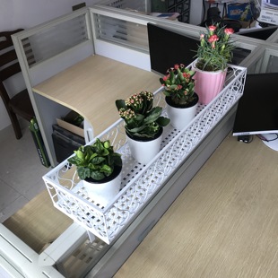 办公室文件收纳置物架 办公桌隔板绿萝花架 工位卡槽多肉盆栽花架