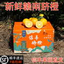 正宗赣南脐橙新鲜当季 孕妇水果齐橙赣州信丰农家甜橙子产地直发