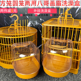 虎皮鹦鹉洗澡盆图片素材