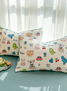 卡通花边纯棉枕套一对全棉简约可爱枕头套48x74水洗棉宿舍枕芯套