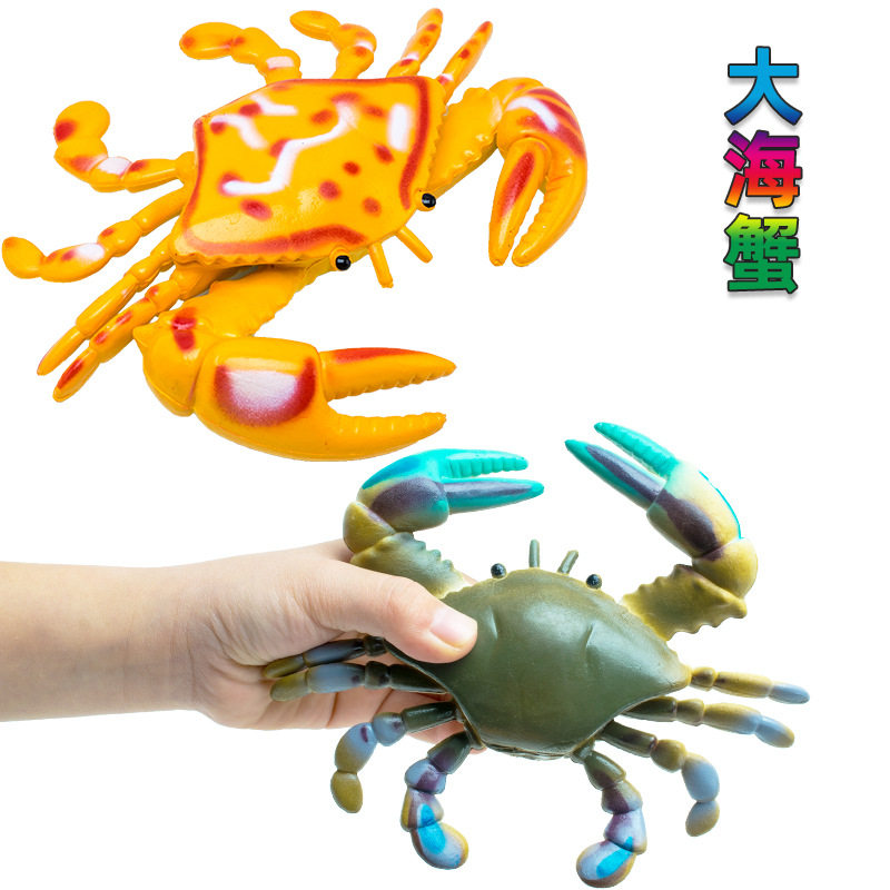 仿真大螃蟹大闸蟹动物海洋生物模型PVC塑胶玩具海洋动物海蟹道具
