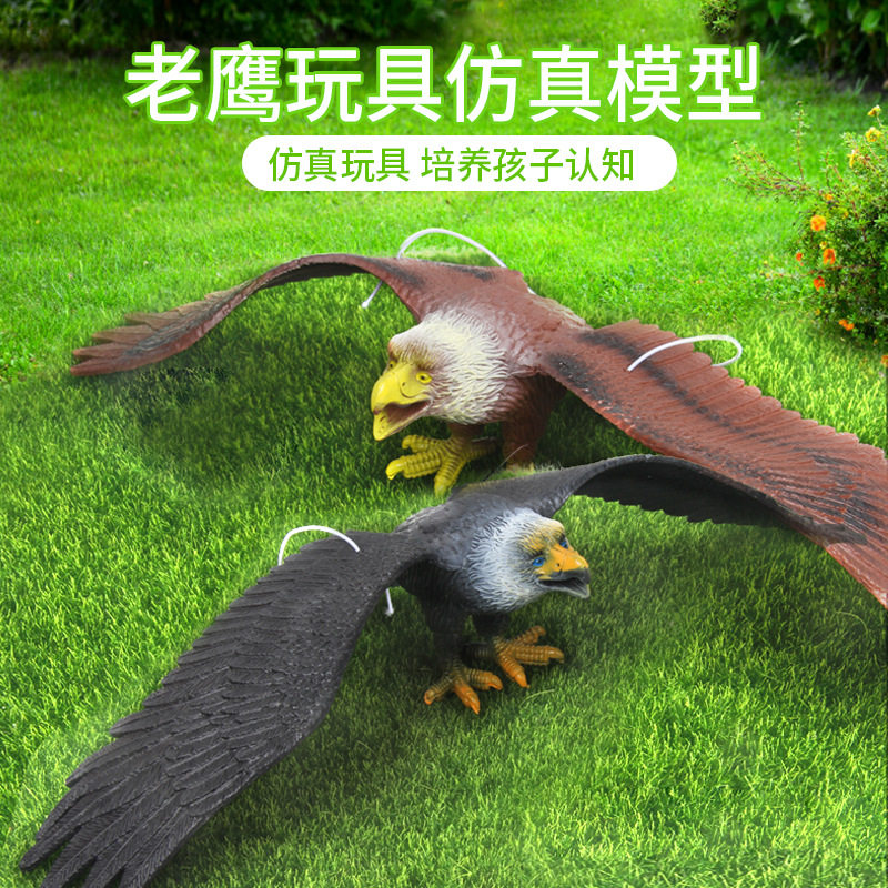 大号仿真老鹰玩具模型捏叫塑胶动物飞禽玩具金雕大鹏摆设装饰鸟类