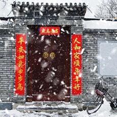 Свадебный номер макет Kit 春联2023新款兔年对联农村大门3米4新年春节过年装饰植绒新春门联