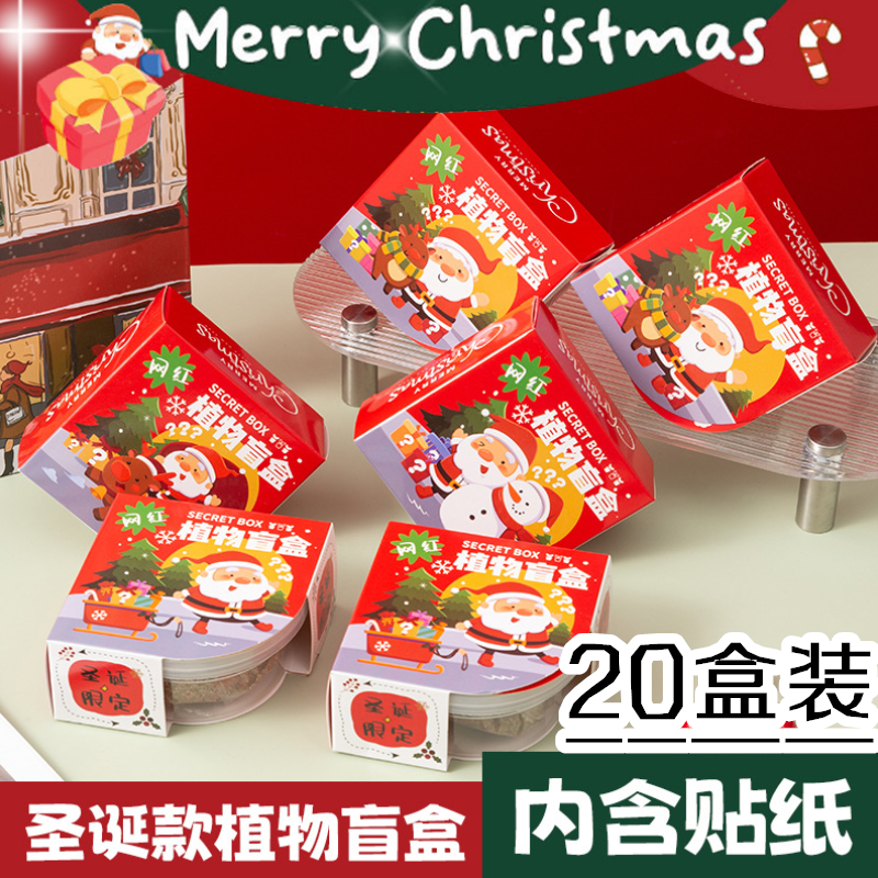 圣诞植物盲盒小盆栽幼儿园礼物室内种植蔬菜学生桌面绿植摆件礼品