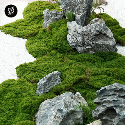 上海美空仿真苔藓假青苔人造仿生草皮植物橱窗布置微景观绿植草坪