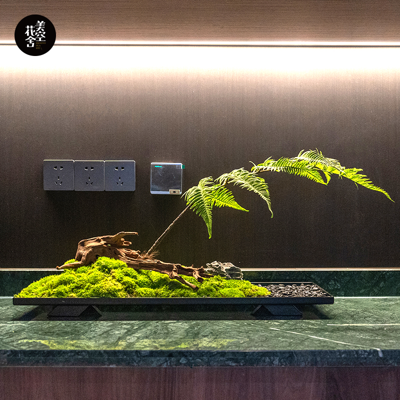美空花舍猴头蕨摆件绿植高端定制