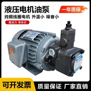 0.75KW 电机油泵组 1.5KW 2.2KW配VP20 VP30 液压电机 VP15 内插式