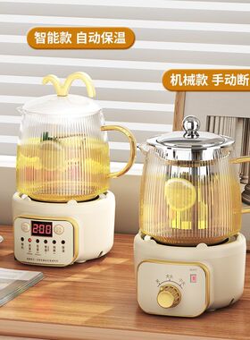 小型养生壶办公室煮茶壶迷你全自动煮茶器多功能小巧mini一人新款