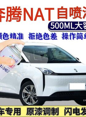 奔腾NAT专用自喷漆北极白色汽车划痕修复手喷漆富勒银亮银银灰色