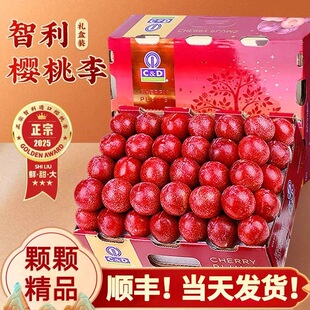 智利樱桃李子樱桃李 进口李子 软糯李子孕妇水果当季新鲜高端鲜果