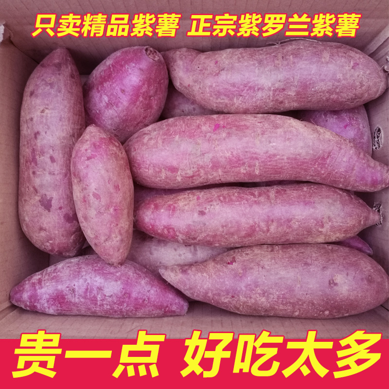 现挖发货 农家自种 不打农药 香甜无丝