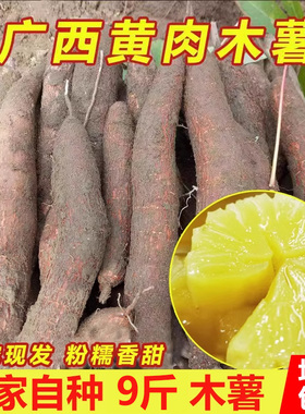 新鲜现挖广西新鲜黄心黄肉木薯粉糯甜面包黄金木薯糖水木薯羹