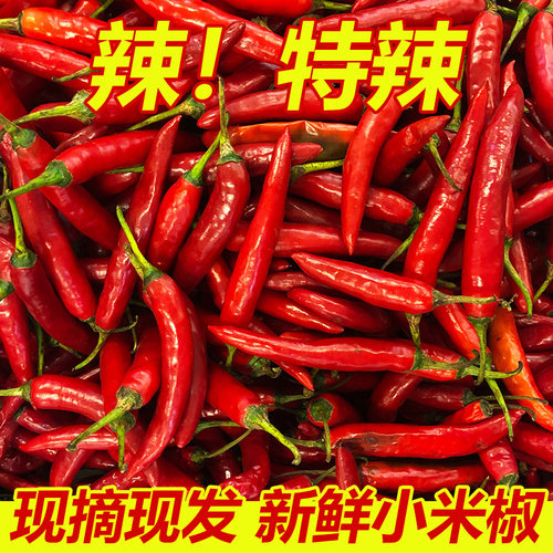 小米辣椒新鲜现摘现发