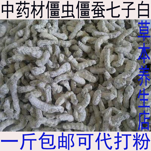 中药材僵蚕500g 白僵蚕 僵虫 粉 白疆虫 七子白 姜蚕 姜虫包邮