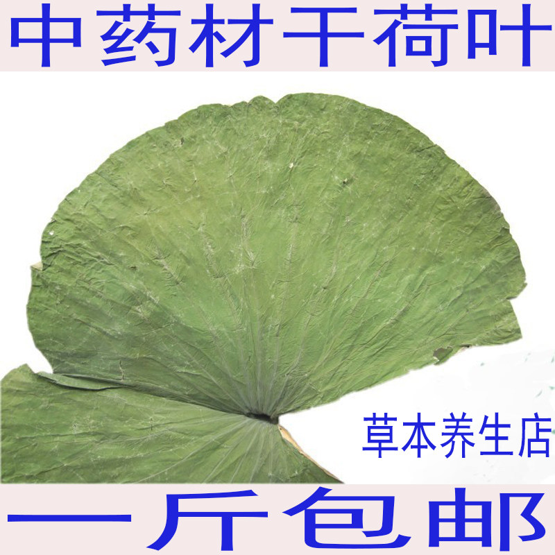 中药材荷叶干荷叶片整张荷叶荷叶