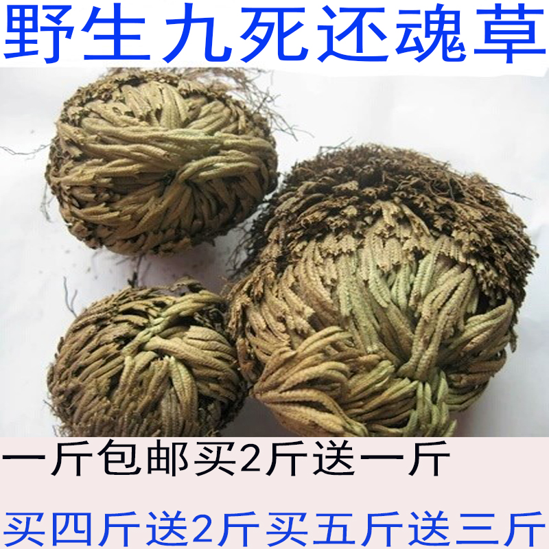 还魂草一斤500克包邮中药材