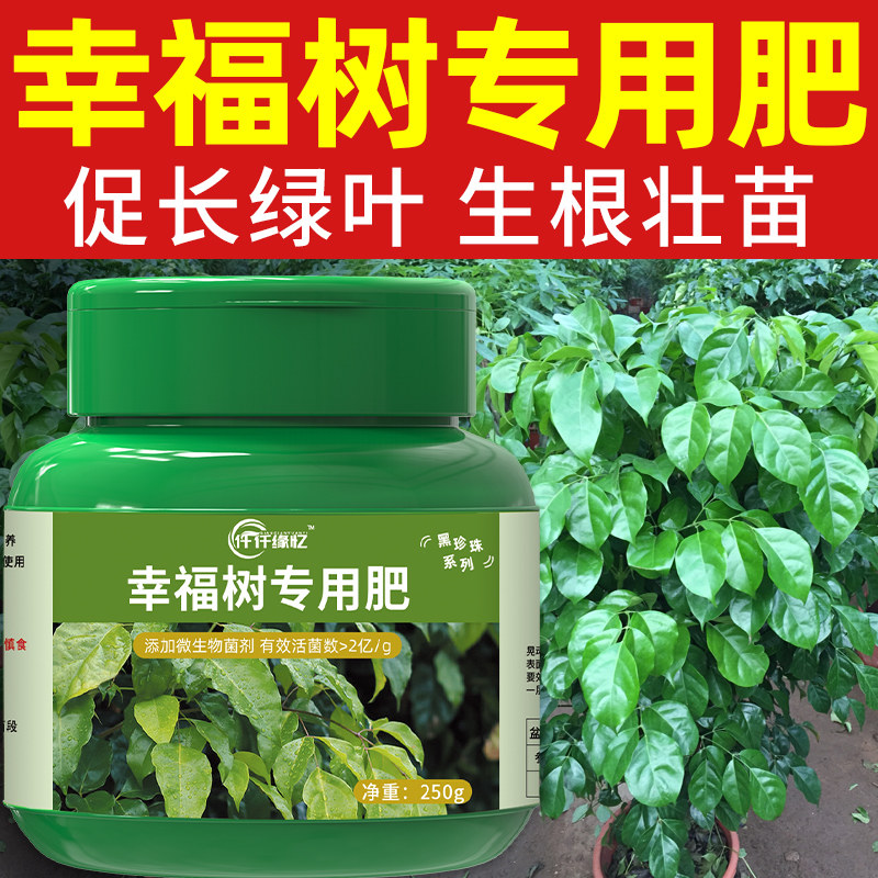 幸福树专用肥料有机肥缓释营养液无机肥
