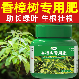 香樟树专用肥香樟肥料养料油樟营养液复合肥有机芳樟颗粒缓释盆栽
