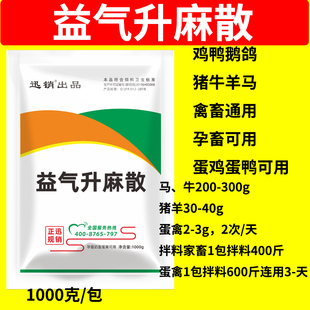 益气升麻散兽用补中益气散牛用猪羊母牛蛋鸡饲料原料