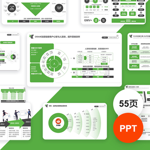 高级感绿色流程｜电商营销全景洞察｜矩阵｜逻辑架构图PPT模板